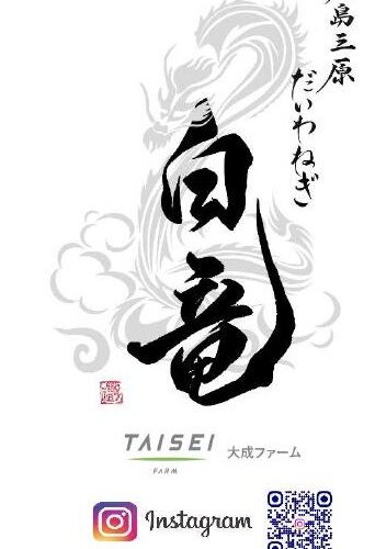 だいわねぎ白竜 出荷開始しました